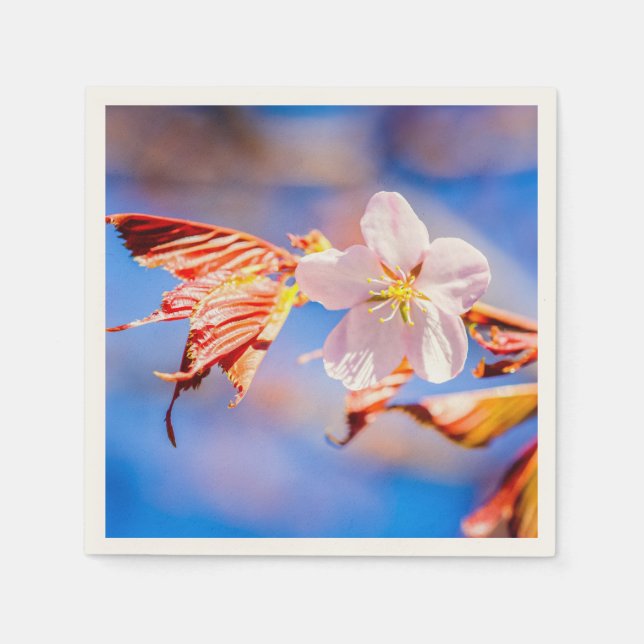 Servilleta De Papel Rosa Sakura Flower Blue Sky (Anverso)