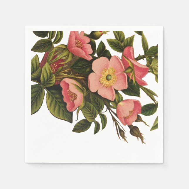 Servilleta De Papel Rosas Vintage Hermosas Rosadas Botánicas (Anverso)