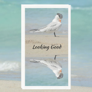 Servilleta De Papel Royal Tern