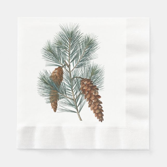 Servilleta De Papel Rústico Winter Woodland Pine Cones y Sucursal (Anverso)