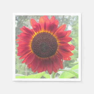 Servilleta De Papel Rusty Red Sunflower Napkin