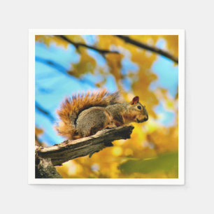 Servilleta De Papel Salto