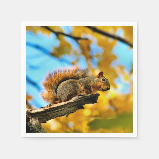 Servilleta De Papel Salto (Anverso)