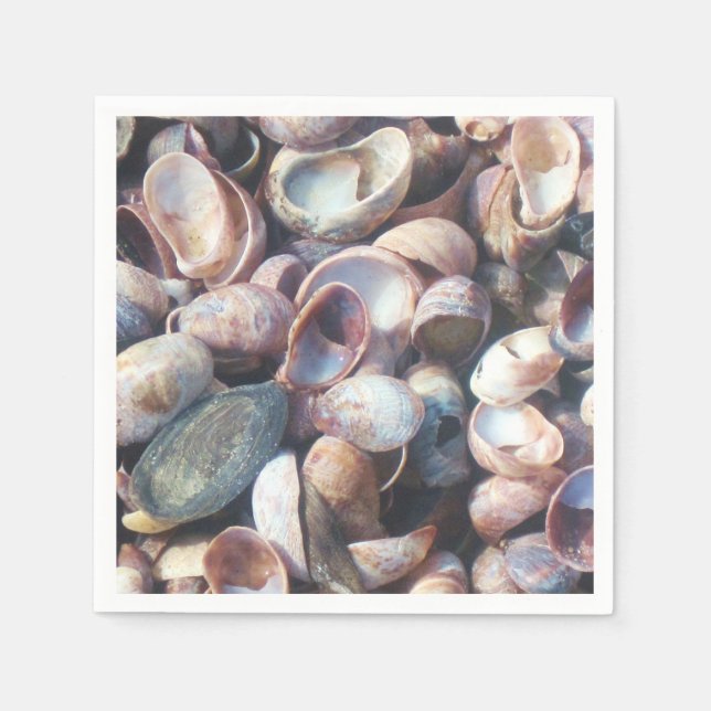 Servilleta De Papel Seashell Napkin (Anverso)
