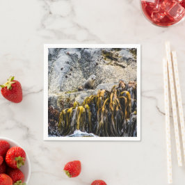 Servilleta De Papel Sello De Piel Joven En La Roca