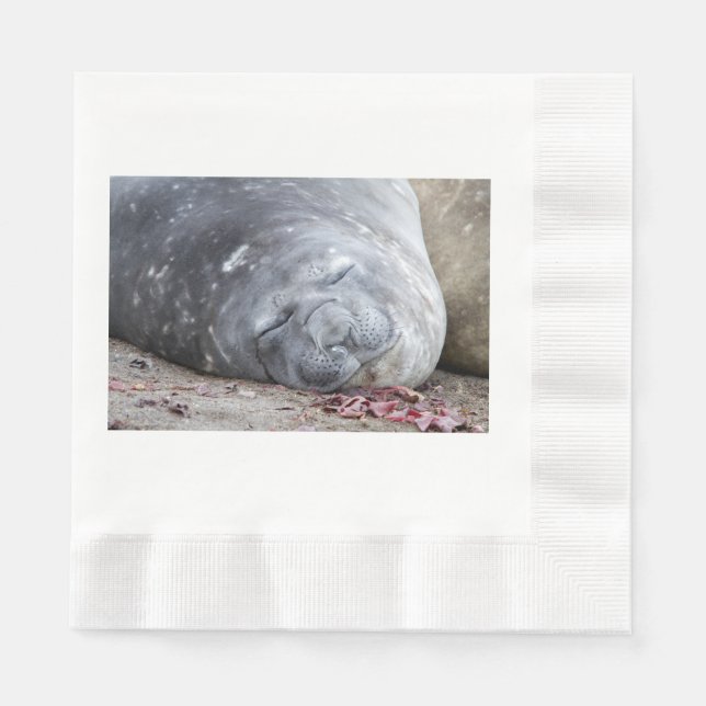 Servilleta De Papel Sello elefante (Anverso)