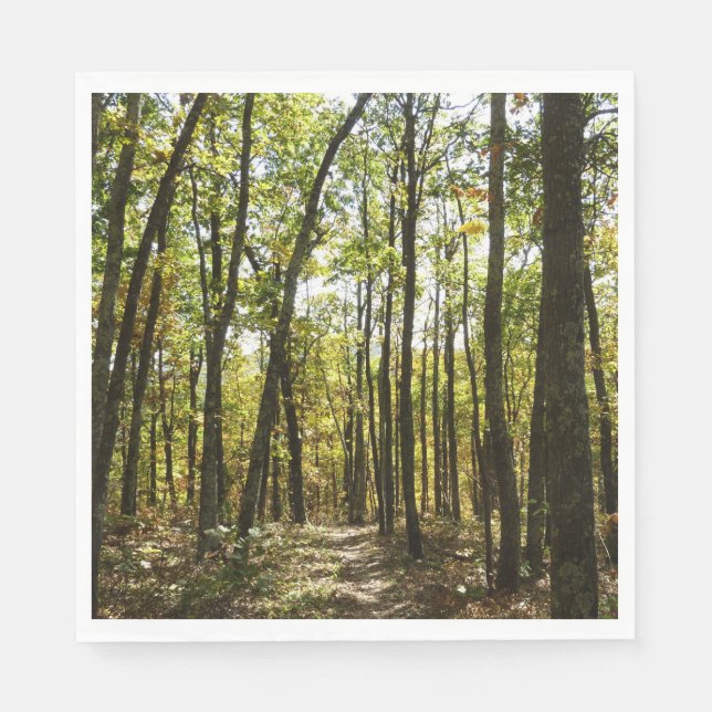 Servilleta De Papel Sendero Apalache en octubre en Shenandoah (Anverso)