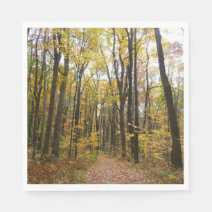 Servilleta De Papel Sendero de otoño y hojas doradas en Laurel Hill Pa