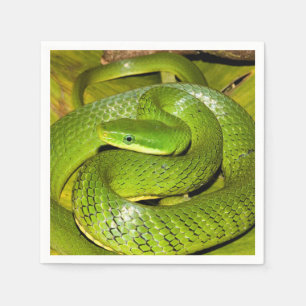Servilleta De Papel Serpiente de rata verde de Bush