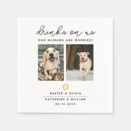Servilleta De Papel Servicios Elegantes de Bebidas para Mascotas 2 Fot
