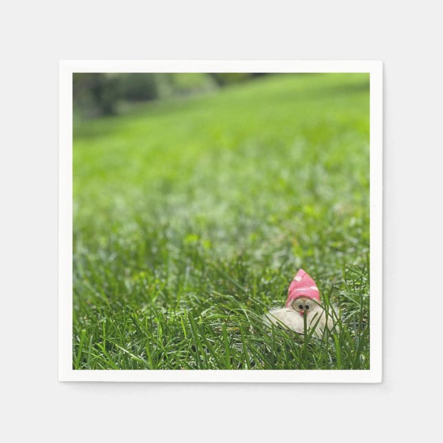 Servilleta De Papel Servilletas de cóctel Super lindas para jardín con (Anverso)