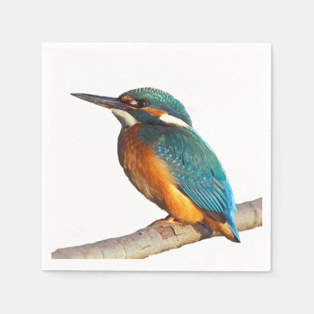Servilleta De Papel servilletas de papel de diseño "Kingfisher" (Anverso)