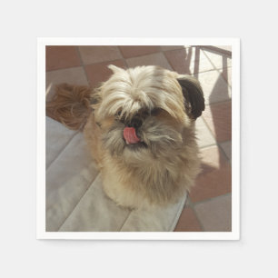 Servilleta De Papel Servilletas de papel de perro Shih Tzu