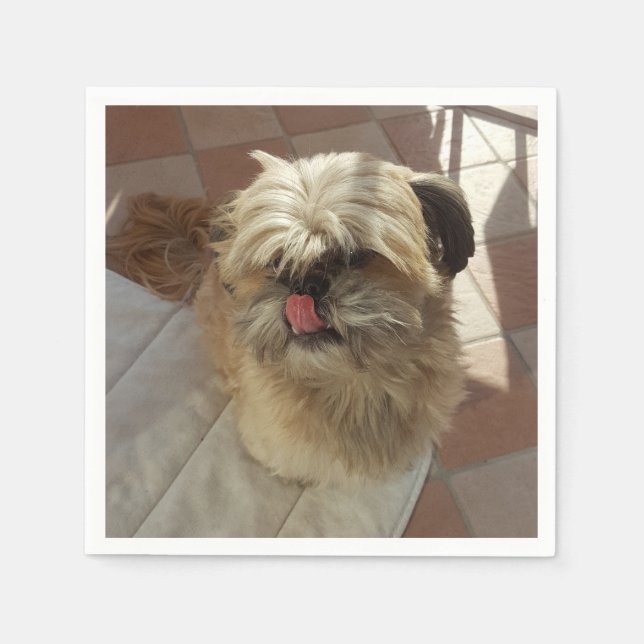 Servilleta De Papel Servilletas de papel de perro Shih Tzu (Anverso)