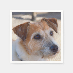 Servilleta De Papel Servilletas lindas del perro