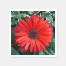 servilletas naranja Daisy