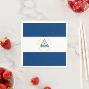 Servilleta De Papel servilletas nicaragüenses, Fiesta, bandera nicarag