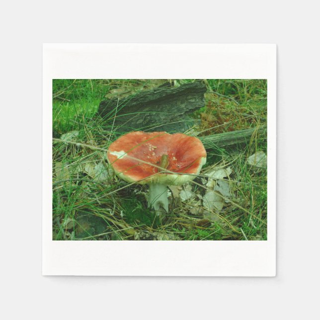 Servilleta De Papel Sexy Forest Mushroom Napkins Polonia (Anverso)