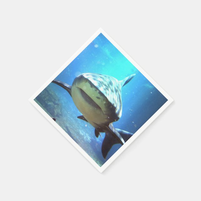 Servilleta De Papel shark-5.jpg (Borde)