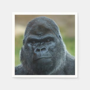 Servilleta De Papel Silverback