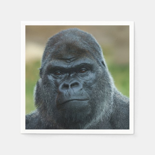 Servilleta De Papel Silverback (Anverso)