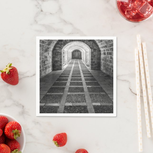 Servilleta De Papel Simetría en blanco y negro (In situ)