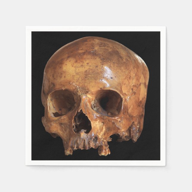 Servilleta De Papel Skull Halloween (Anverso)