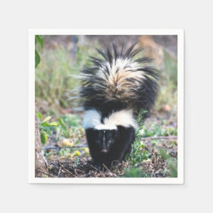 Servilleta De Papel Skunk Black and White