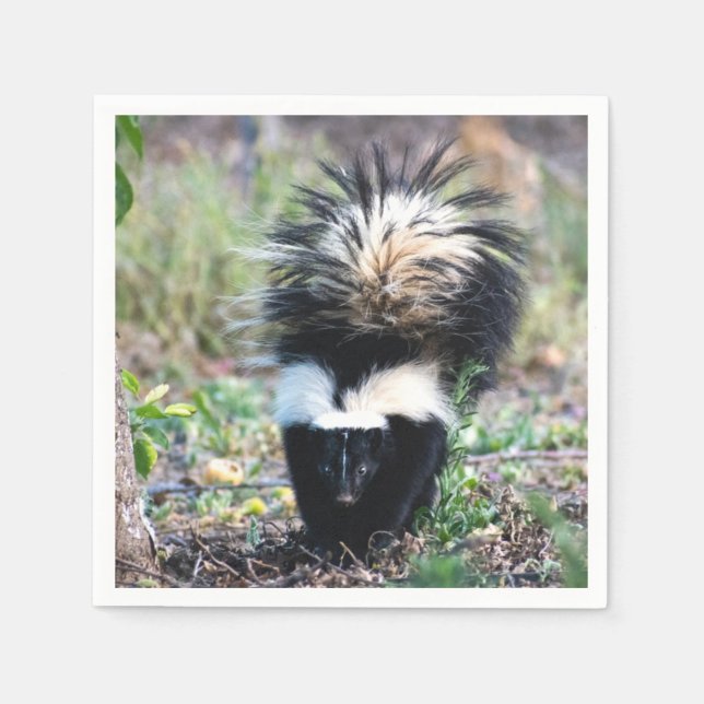Servilleta De Papel Skunk Black and White (Anverso)