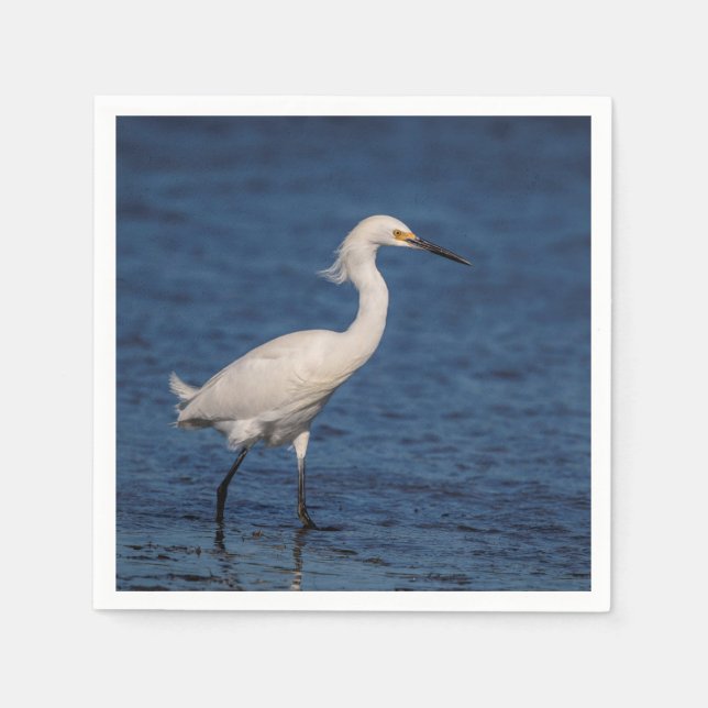 Servilleta De Papel Snowy Egret en North Beach (Anverso)