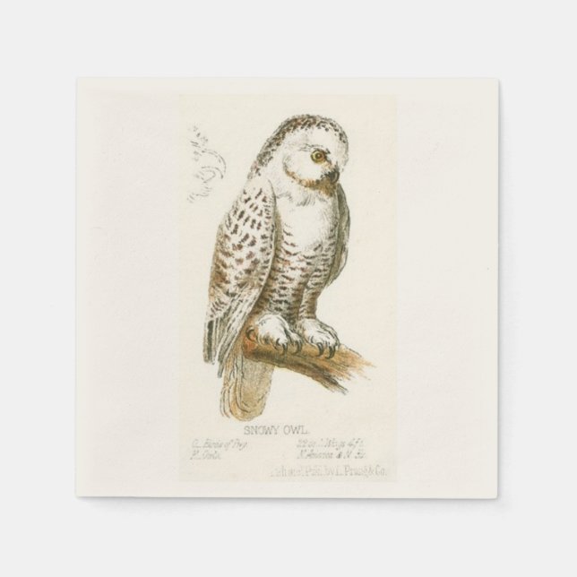Servilleta De Papel Snowy Owl (Anverso)