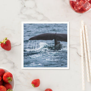 Servilleta De Papel Sperm Whale