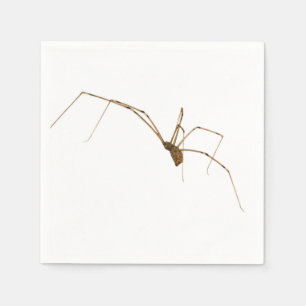 Servilleta De Papel Spider