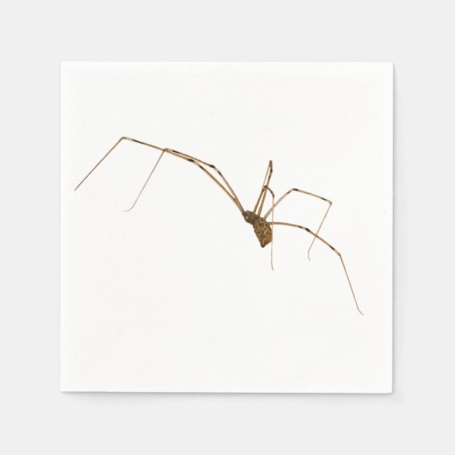 Servilleta De Papel Spider (Anverso)