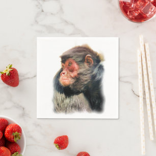 SERVILLETA DE PAPEL SPIDER MONKEY