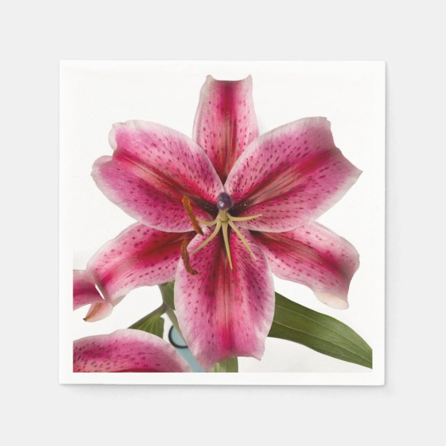 Servilleta De Papel Stargazer Lily Cocktail Napkin (Anverso)