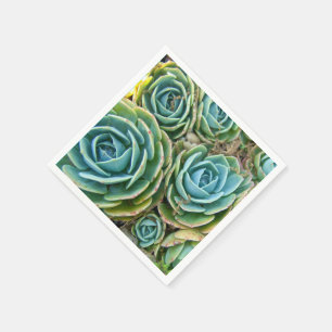 Servilleta De Papel Succulents