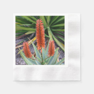 Servilleta De Papel Suculentas Napkins Cocktail