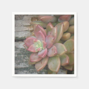 Servilleta De Papel Suculento En La Napkin De Dulce