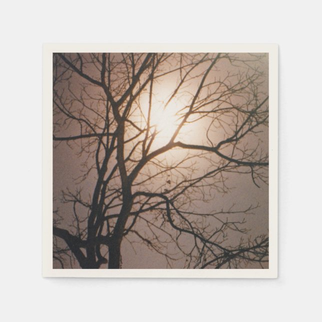 Servilleta De Papel Sueño de luna (Anverso)