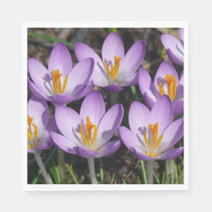Servilleta De Papel Sunny Purple Crocuses