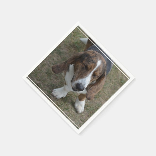 Servilleta De Papel Sweet Basset Hound (Borde)