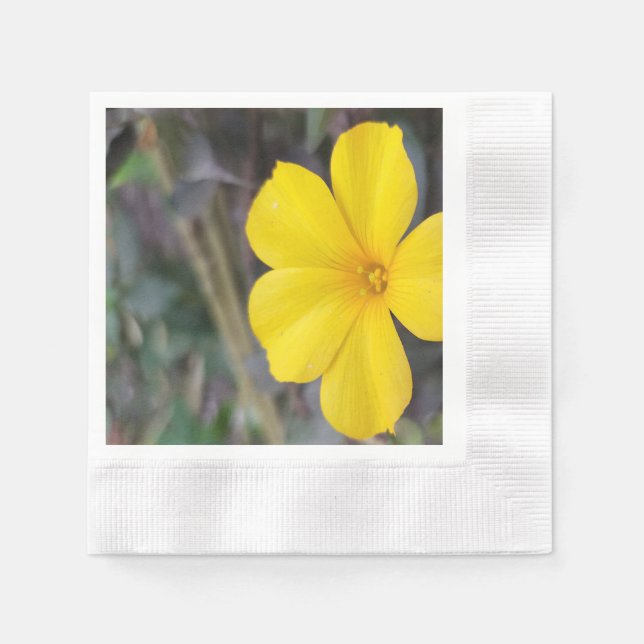 Servilleta De Papel Tableware floral animado para Fiestas y eventos (Anverso)