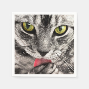 Servilleta De Papel tabú