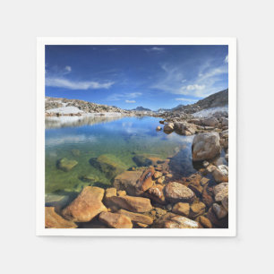 Servilleta De Papel Tarn de oso negro - Sierra