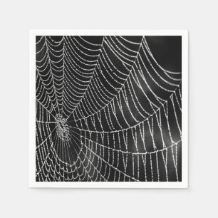 Servilleta De Papel Telaraña cubierta de rocío