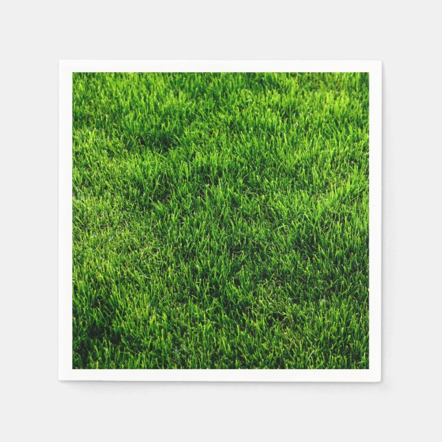 Servilleta De Papel Texturas de estilos clásicos (Anverso)