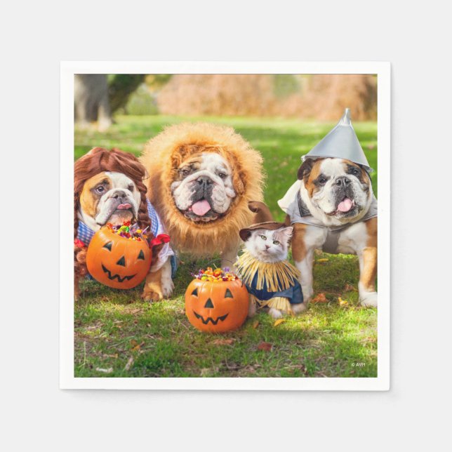 Servilleta De Papel Three Bulldogs in Costumes (Anverso)
