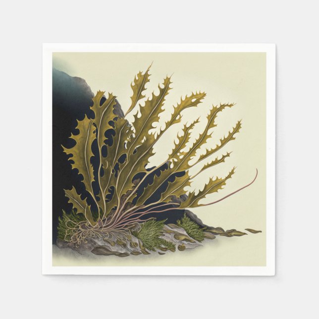 Servilleta De Papel Tidal Fronds (Anverso)