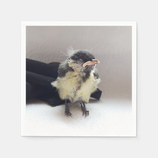 Servilleta De Papel Tidi my Bird the Parus Major (Anverso)